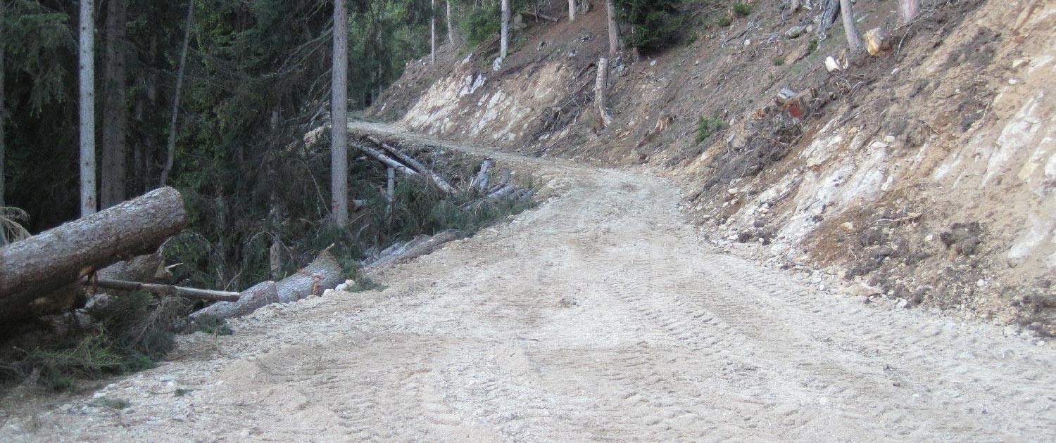 Strada_forestale_Vals-1