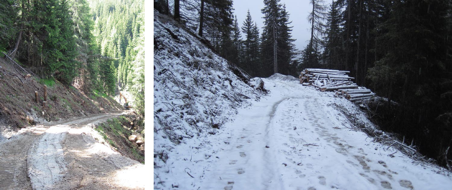 Strada_forestale_Vals-3