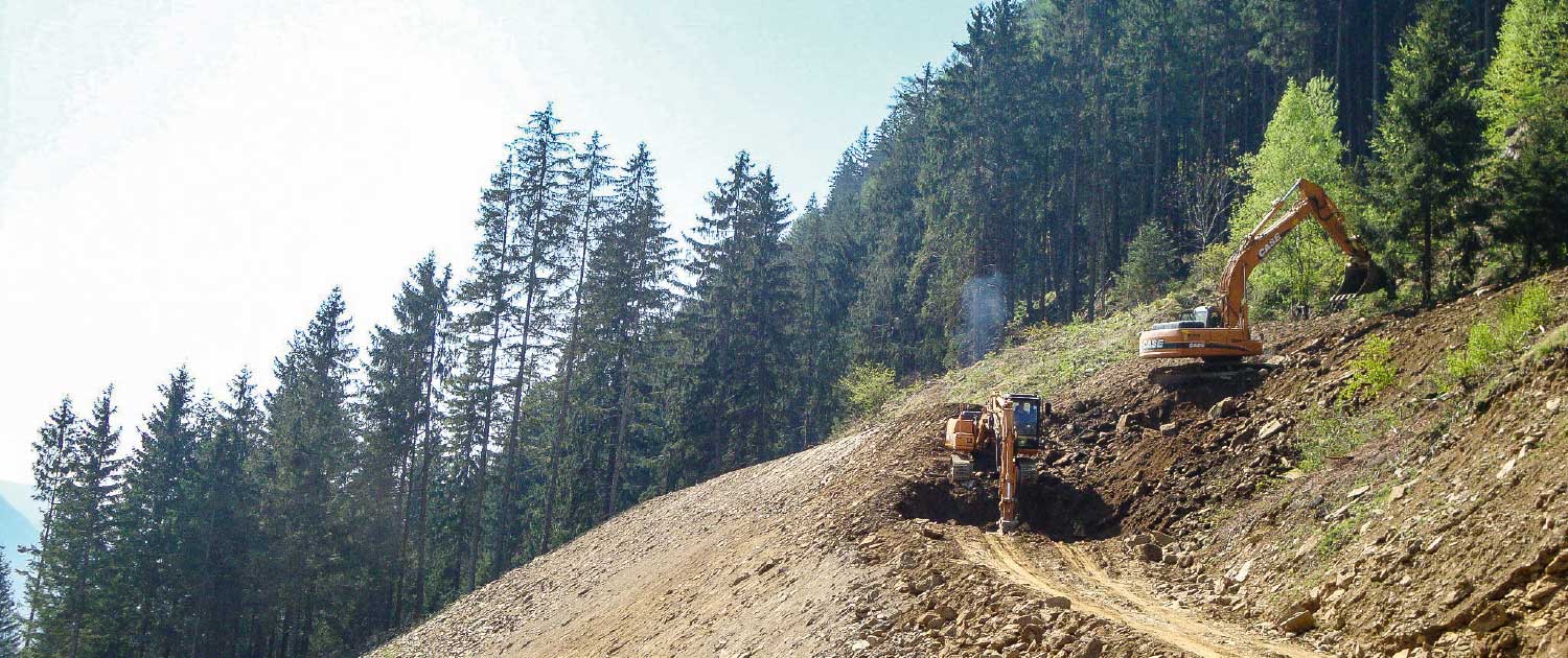 Infrastrutture_Griesberg1-4