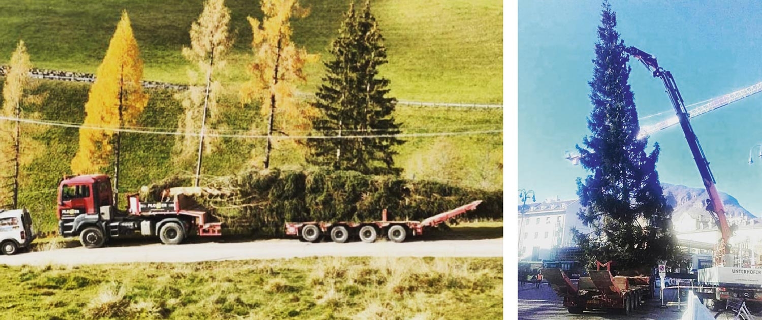 Ploner_Sondertransporte